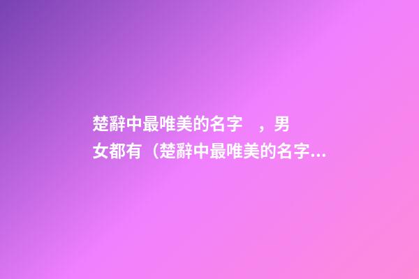 楚辭中最唯美的名字，男女都有（楚辭中最唯美的名字,男女都有什么）